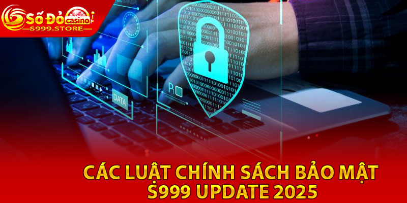 Chính Sách Bảo Mật S999 – Bảo Vệ An Toàn Dữ Liệu Khách Hàng 3 Các Luật Chính Sách Bảo Mật S999 Update 2025