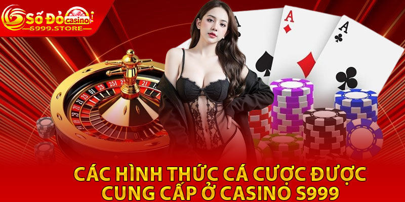 Các hình thức cá cược được cung cấp ở casino S999