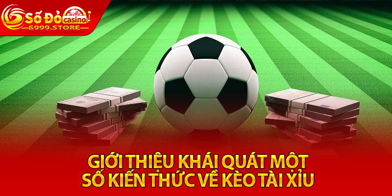 Giới thiệu khái quát một số kiến thức về kèo tài xỉu